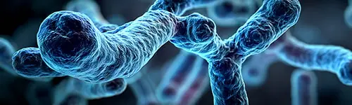 ¿Dónde puedo hacer el curso de Legionella homologado?